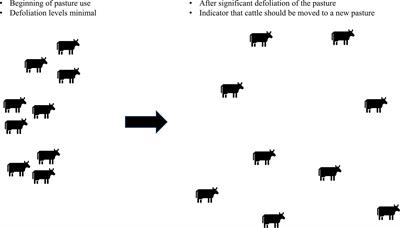 Opportunities to monitor animal welfare using the five freedoms with precision livestock management on rangelands